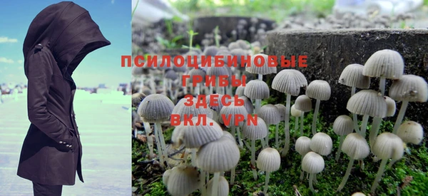 индика Видное