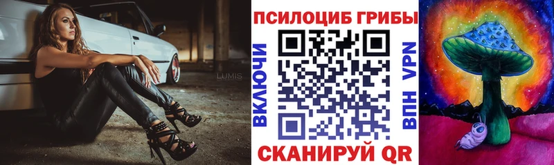 Псилоцибиновые грибы Cubensis Голицыно